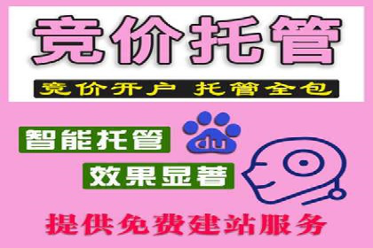 体育行业SEM服务的营销技巧与成功案例