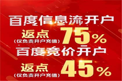 百度竞价排名服务：成功案例解析与优化策略
